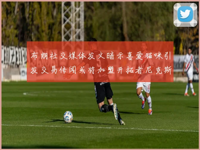布朗社交媒体发文暗示喜爱猫咪引发交易传闻或将加盟开拓者尼克斯雷霆湖人