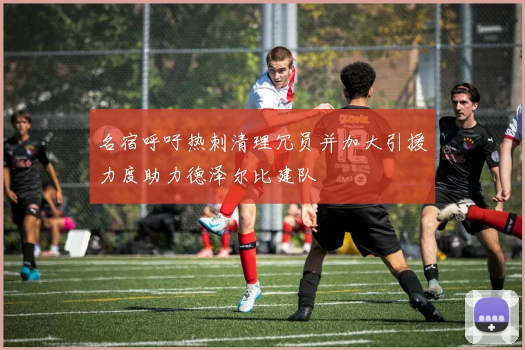 名宿呼吁热刺清理冗员并加大引援力度助力德泽尔比建队